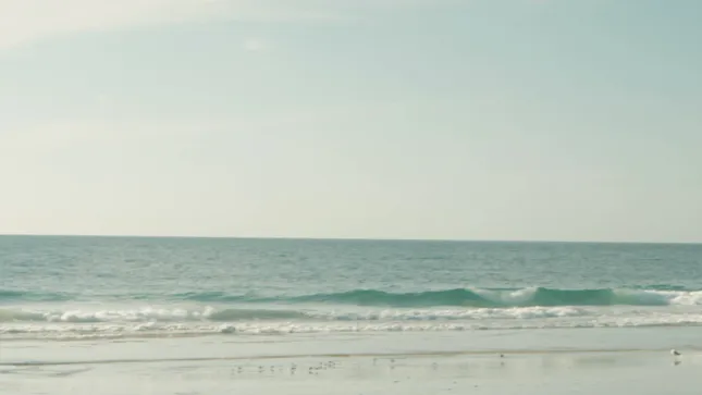 N3on International Trip Trailer