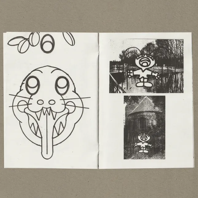 Project image