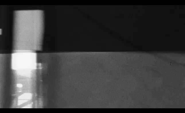 Portland Fire WNBA Logo Reveal