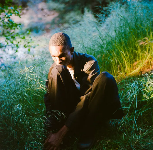 ‘Seasons’ by Sam Austins - photo and art