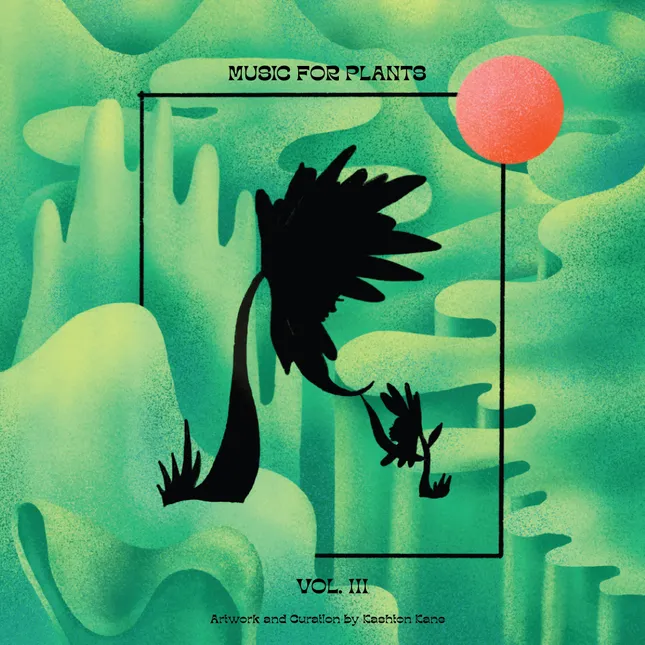 Cover Artwork for Music for Plants