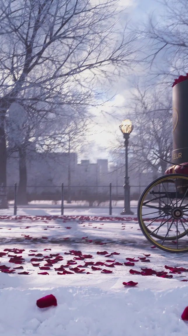 Valentines Day: Venus Et Fleur