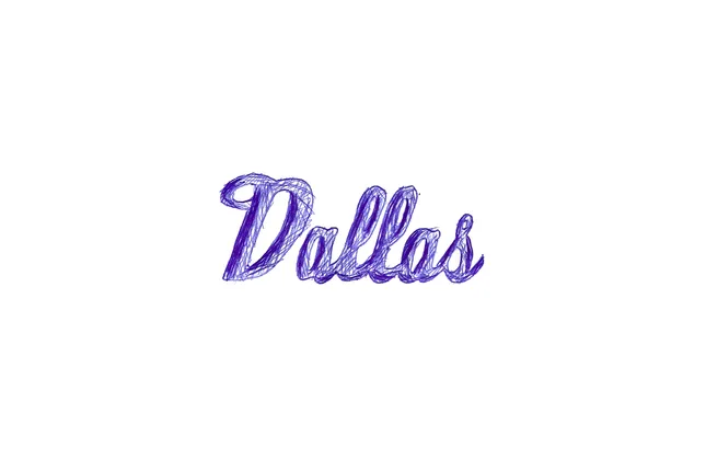 Bashfortheworld Dallas Tour Recap 2024