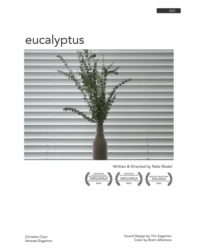 eucalyptus
