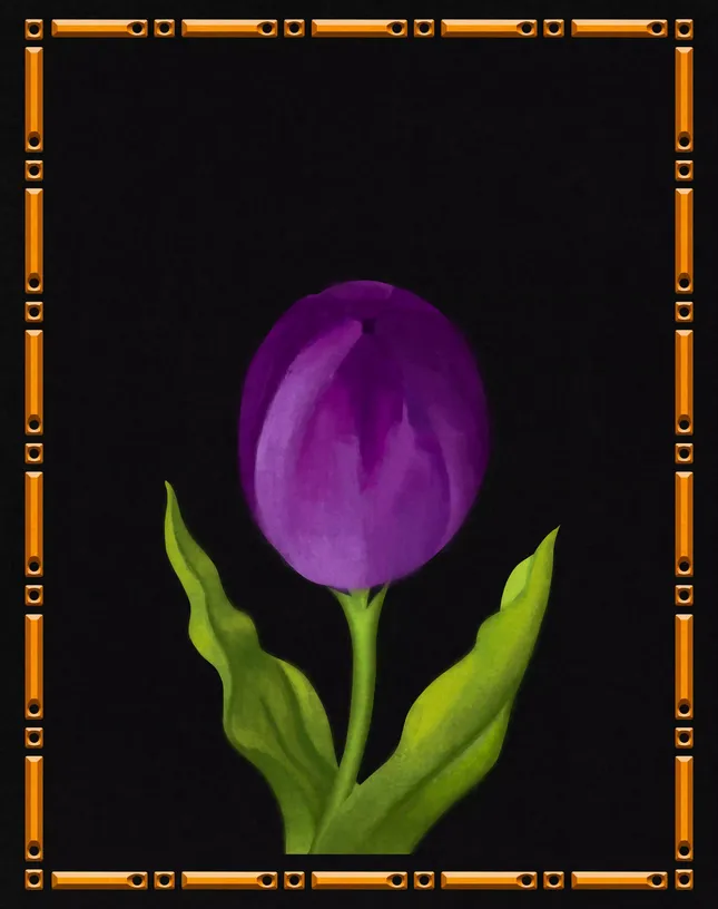 Tulip blossoming animation
