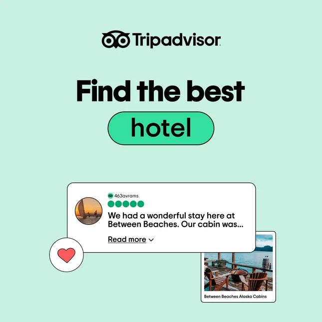 Tripadvisor 2025 Organic Social