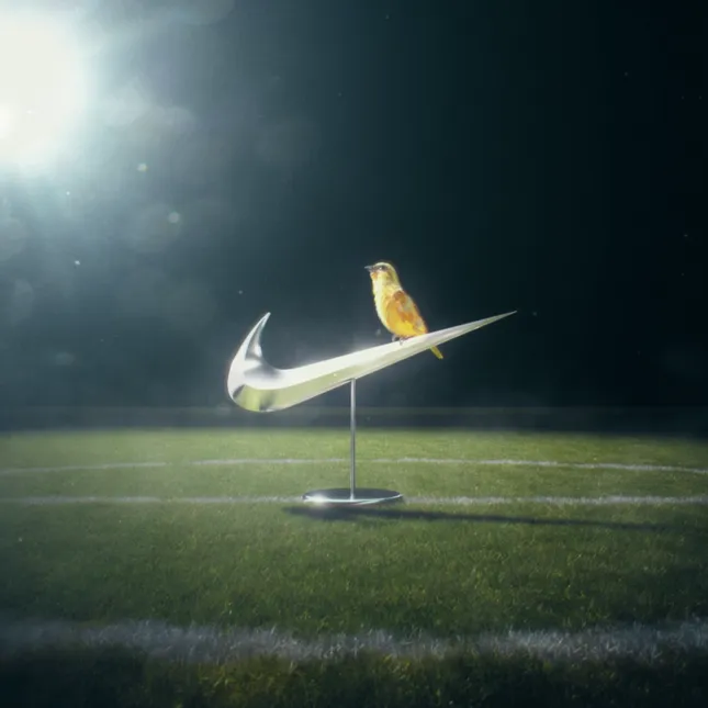NIKE x CBF