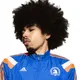 DF  Avatar
