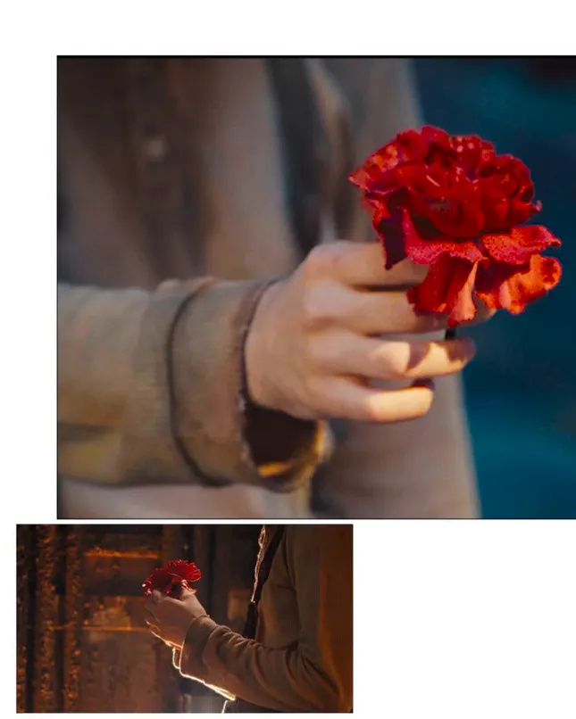 hadestown • social content