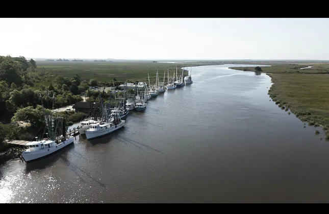 Coastal Electric Co-Op Community Campaigns