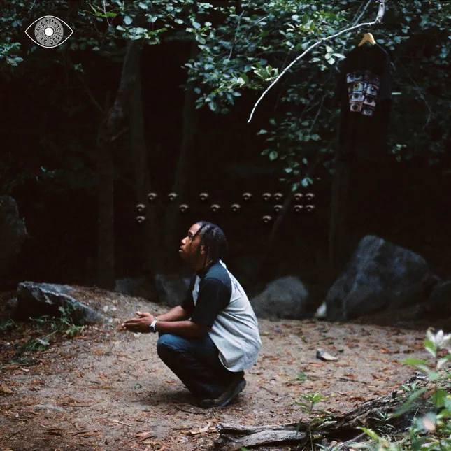 the things i’ve seen Album Cover / Goon Des Garcons