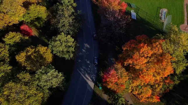 Fall in NY