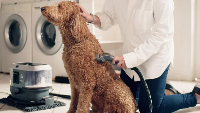 Bissel Barkbath Commercial