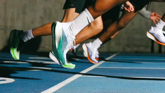 Nike Pegasus x UCLA