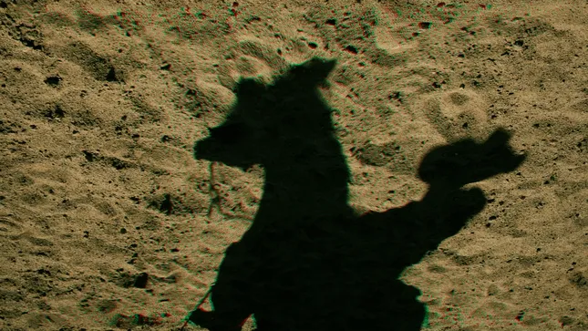 Experimenting with a horse ride morning