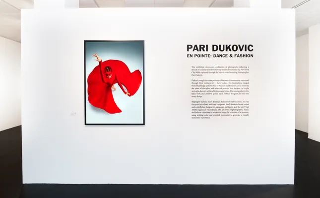 Gallery Interiors - Pari Dukovic x VISU Contemporary