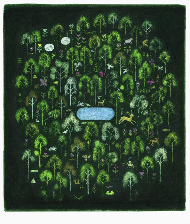 Umi – Forest in the City Merchandise Designs