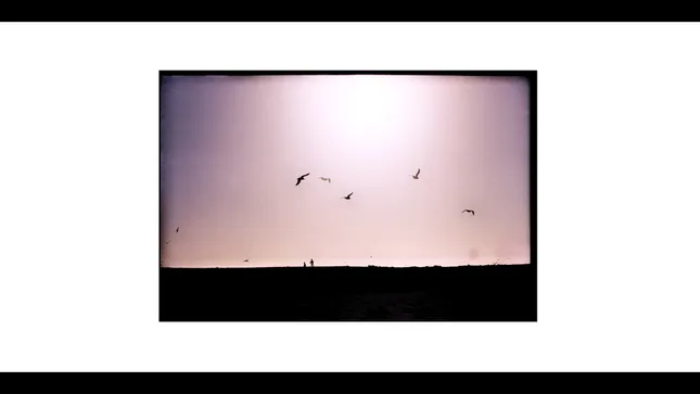 KIDS AND BIRDS / BAMBINI e GABBIANI