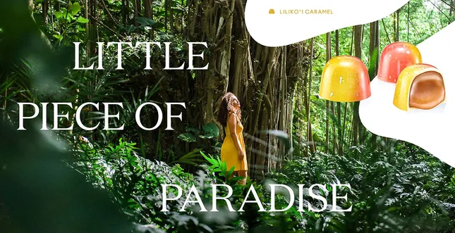 Koho Chocolate - Oahu, Hawaii