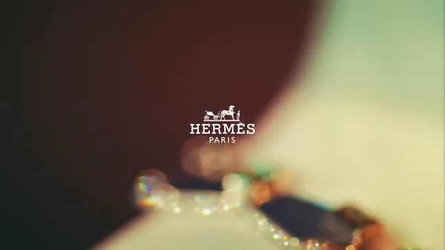 HERMES - Les jeux de l'ombre