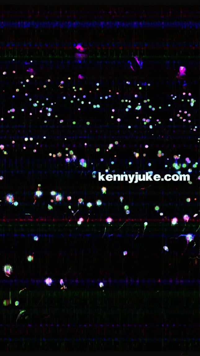 1 Year in LA - kennyjuke.com