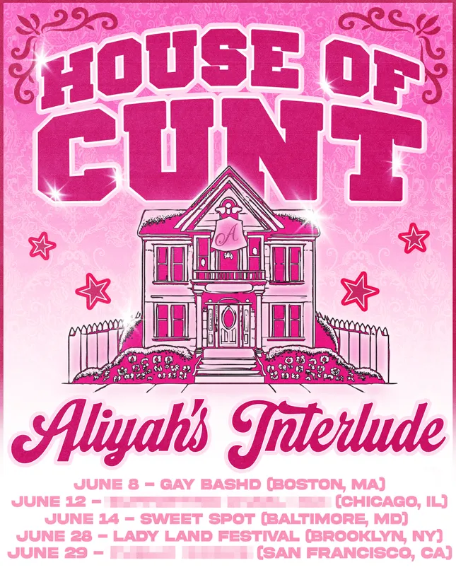 Tour Poster for Aliyah’s Interlude