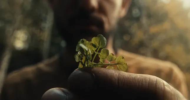 NORDA- WHERE IT GROWS