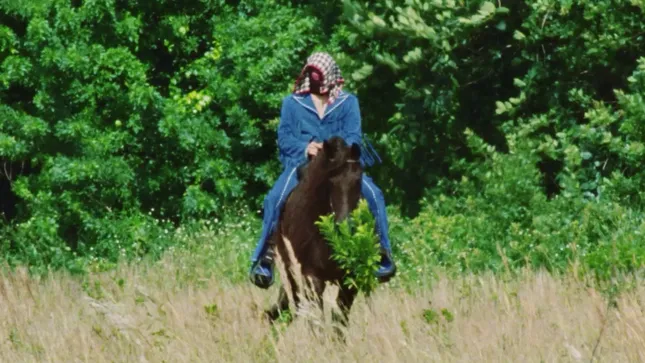 Bad Bunny - Most Wanted Tour