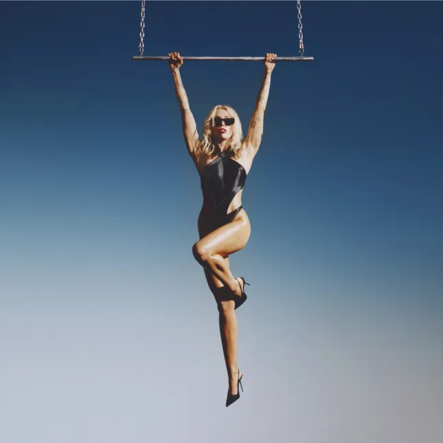 Miley Cyrus Endless Sumer Music Video