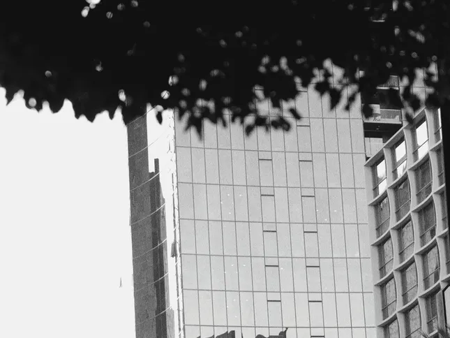 'who's devoid of feeling' - a passion narrative piece