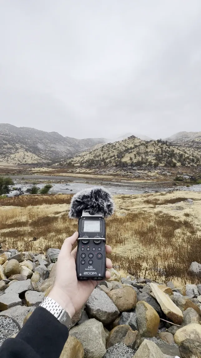 Field Recording - Sequoia