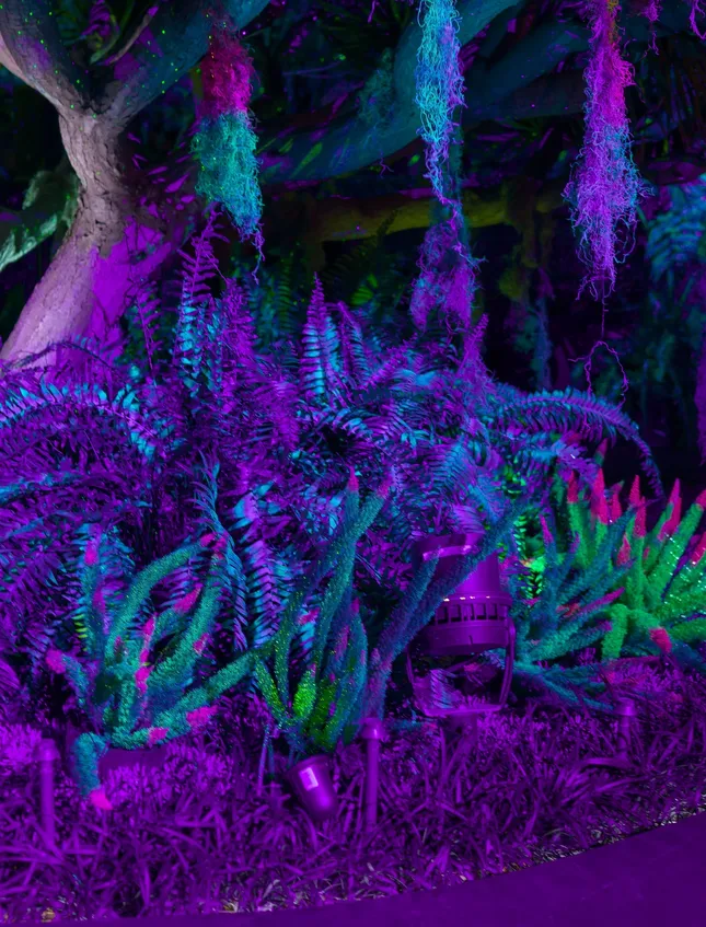 Private Event Set Dressing