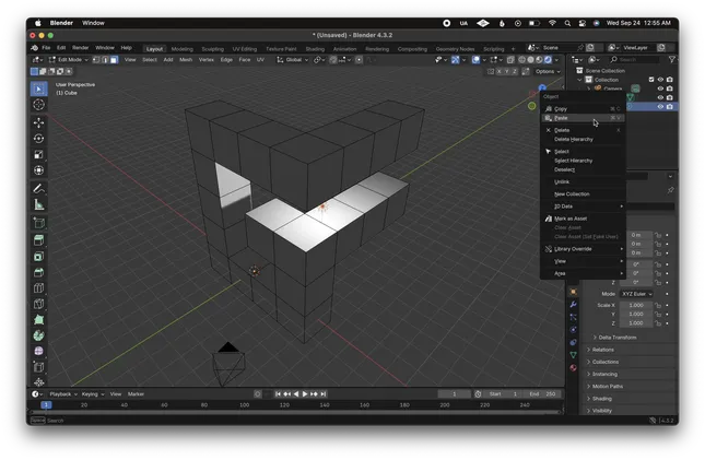 Project image