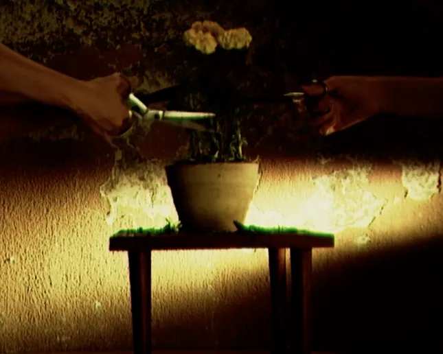 Why by Fletcher Sides