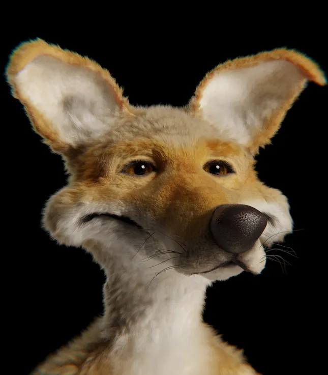 Stinky the Coyote