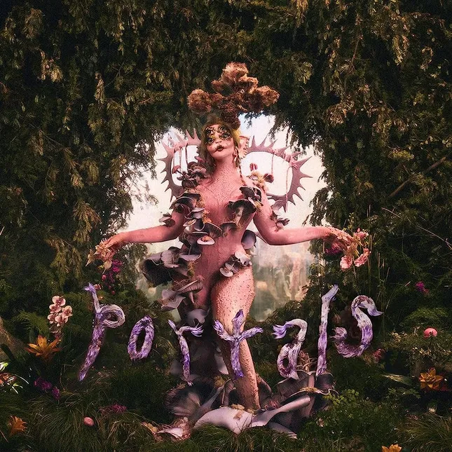 Project image
