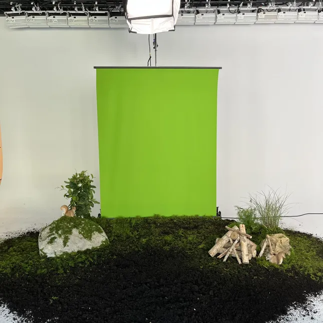 Project image