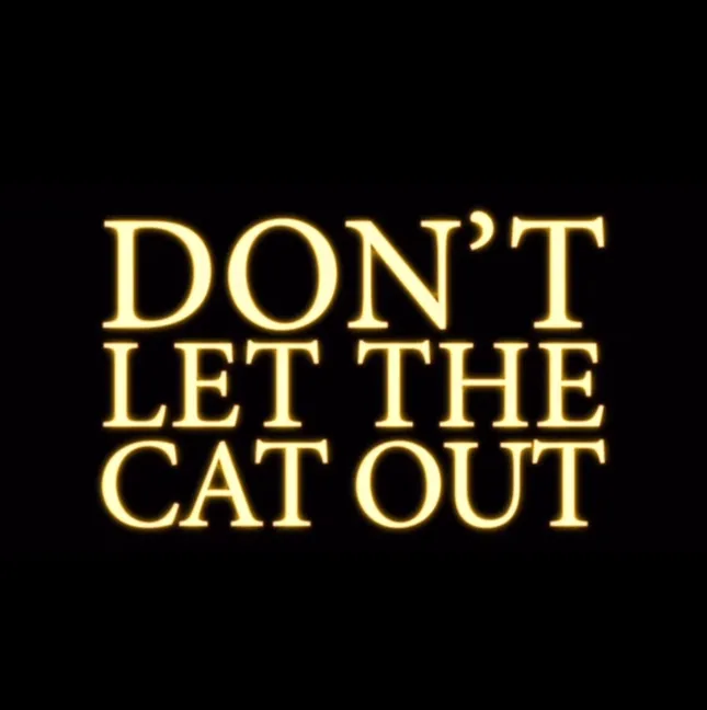 DON’T LET THE CAT OUT- feature film