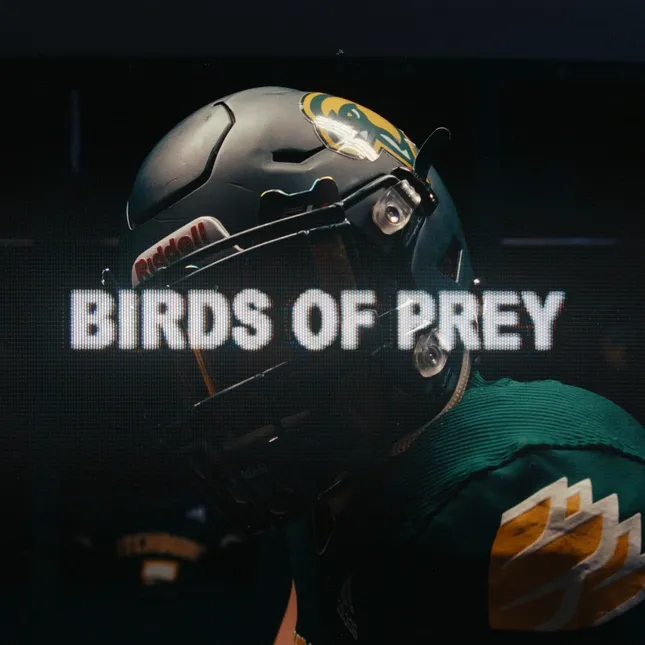 Birds of Prey