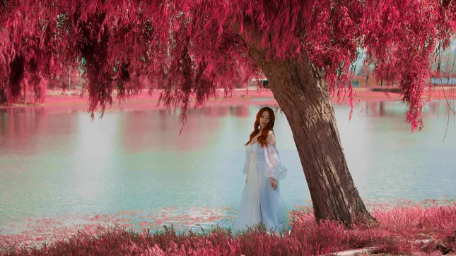 Maisy Kay - Technicolor Honeymoon