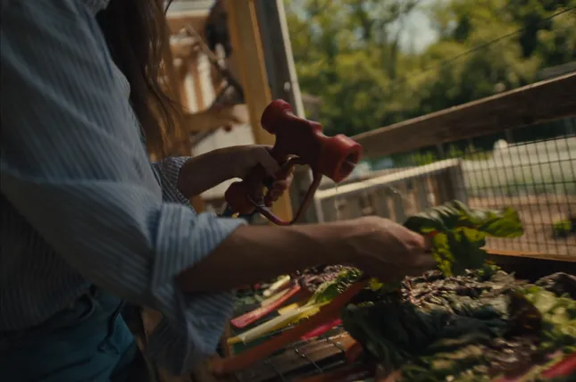 Fare - Behind the Bowl