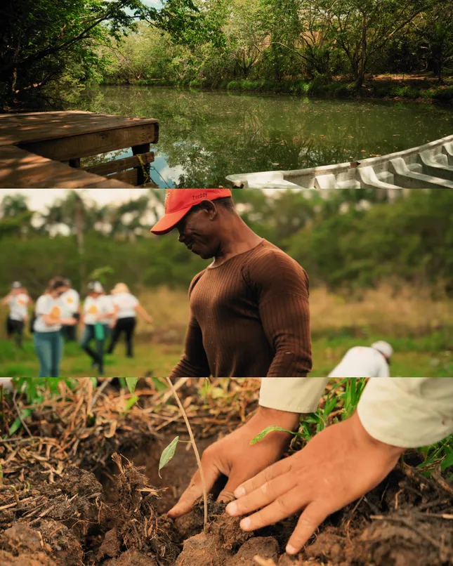 Documentary work for TotalEnergies | Earth Day Reforestation (Director's cut)