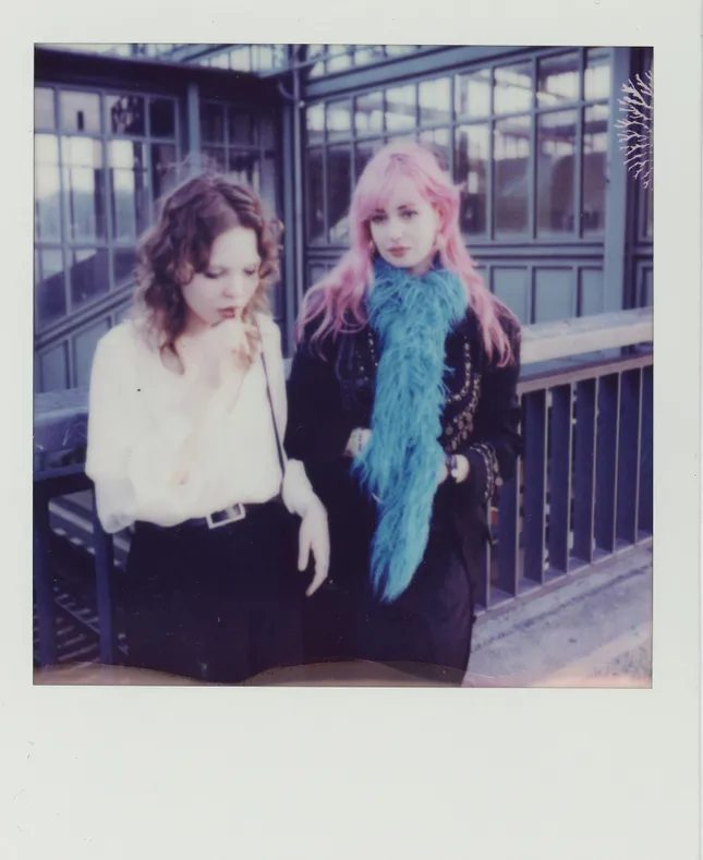 Polaroid