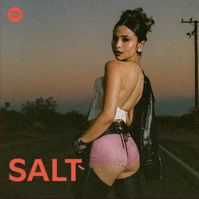 Tiger La Flor Spotify cover