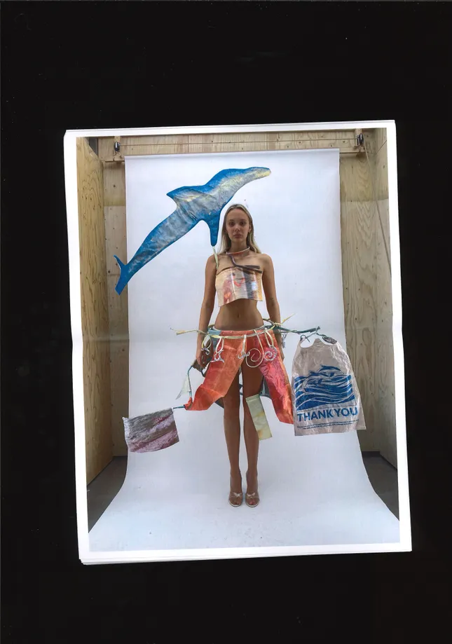Project image
