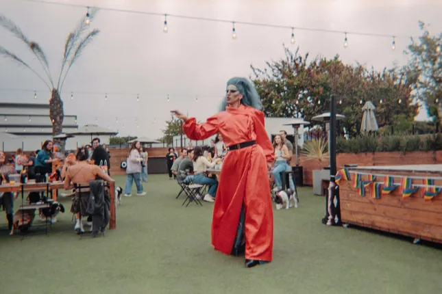 Best in (Drag) Show