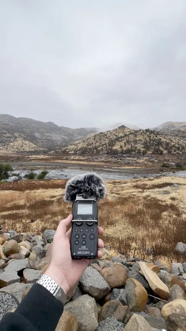 Field Recording - Sequoia