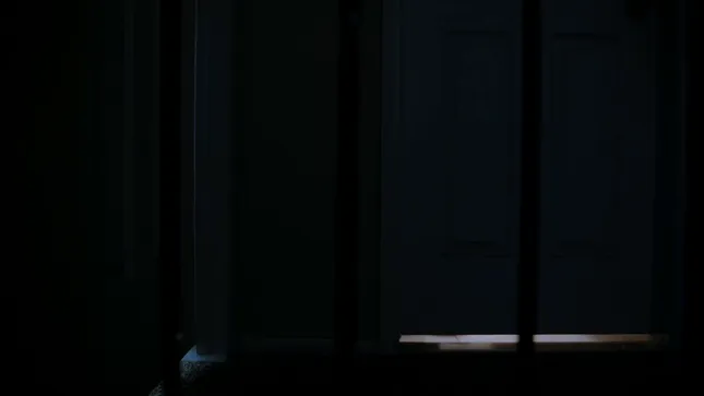BABY DOC COMMERCIAL 1