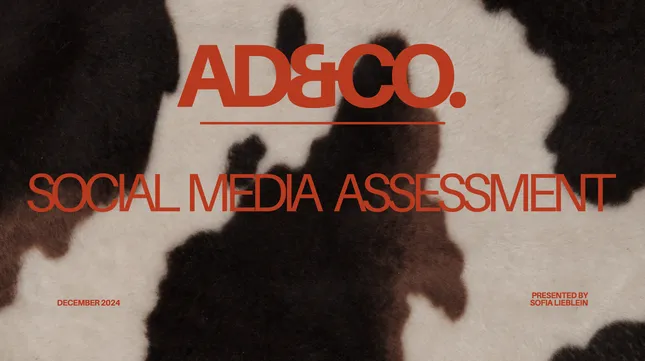 Ad & Co Social Media Analysis