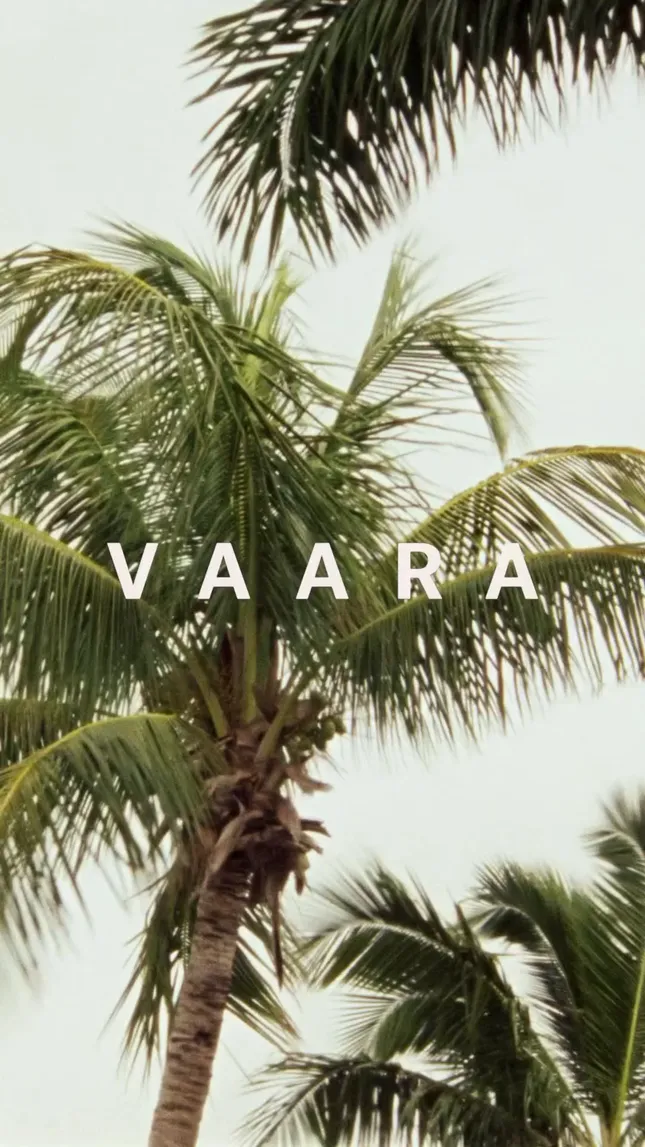 VAARA Swim